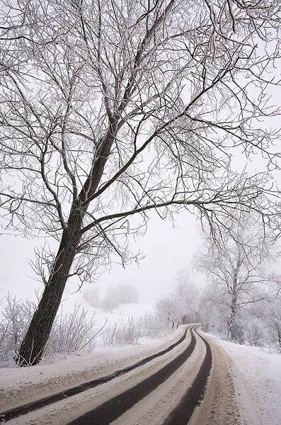 Kliknij na zdjęcie, żeby zobaczyć w pełnych wymiarach