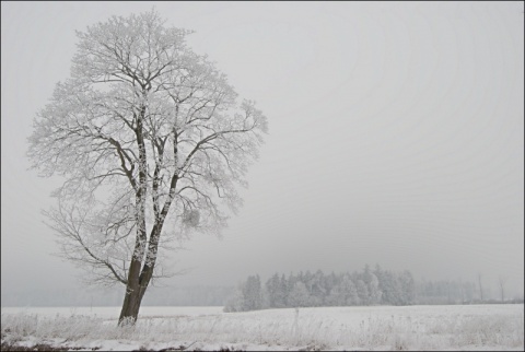 Kliknij na zdjęcie, żeby zobaczyć w pełnych wymiarach