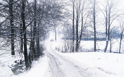 Kliknij na zdjęcie, żeby zobaczyć w pełnych wymiarach