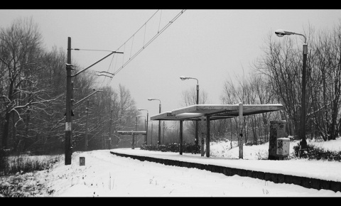Kliknij na zdjęcie, żeby zobaczyć w pełnych wymiarach