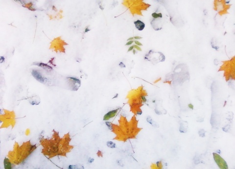 Kliknij na zdjęcie, żeby zobaczyć w pełnych wymiarach