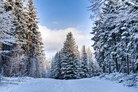 Kliknij na zdjęcie, żeby zobaczyć w pełnych wymiarach