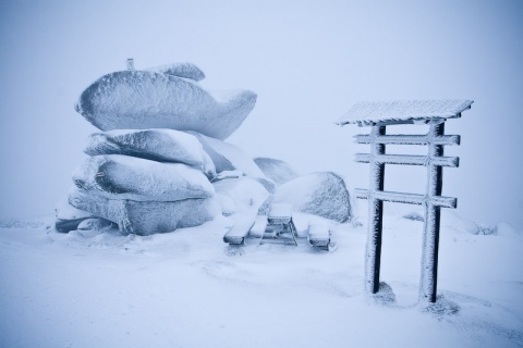 Kliknij na zdjęcie, żeby zobaczyć w pełnych wymiarach