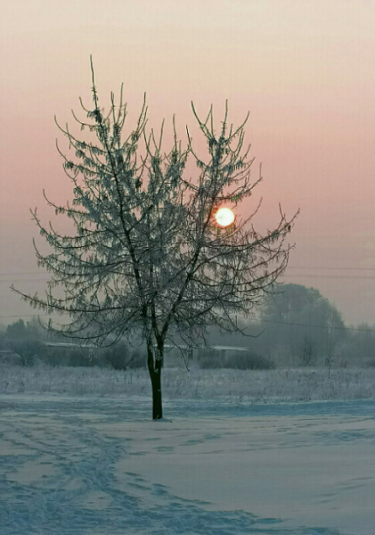 Kliknij na zdjęcie, żeby zobaczyć w pełnych wymiarach