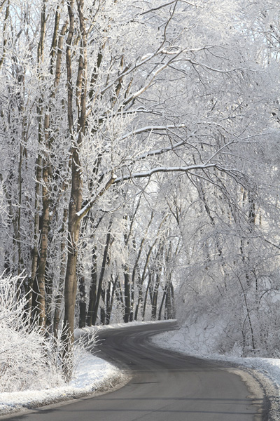 Kliknij na zdjęcie, żeby zobaczyć w pełnych wymiarach