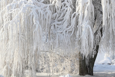 Kliknij na zdjęcie, żeby zobaczyć w pełnych wymiarach