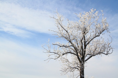 Kliknij na zdjęcie, żeby zobaczyć w pełnych wymiarach