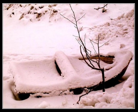 Kliknij na zdjęcie, żeby zobaczyć w pełnych wymiarach