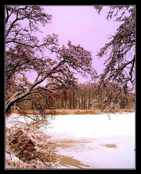 Kliknij na zdjęcie, żeby zobaczyć w pełnych wymiarach