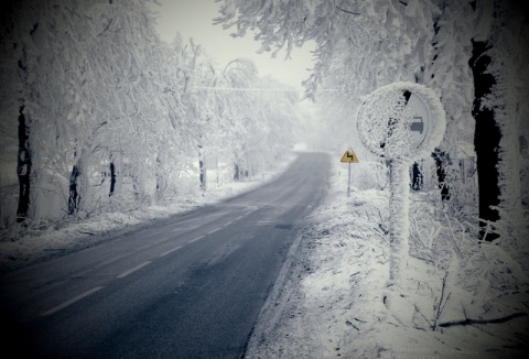 Kliknij na zdjęcie, żeby zobaczyć w pełnych wymiarach