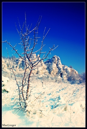 Kliknij na zdjęcie, żeby zobaczyć w pełnych wymiarach