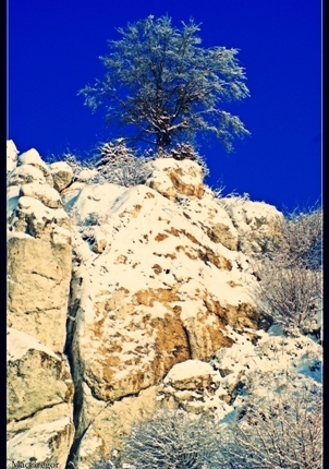 Kliknij na zdjęcie, żeby zobaczyć w pełnych wymiarach