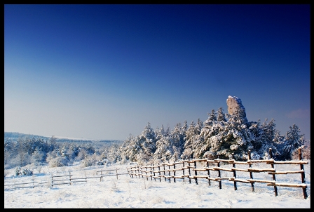 Kliknij na zdjęcie, żeby zobaczyć w pełnych wymiarach