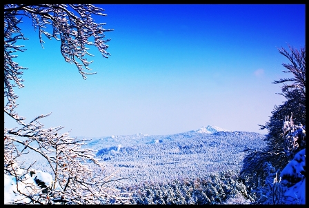 Kliknij na zdjęcie, żeby zobaczyć w pełnych wymiarach