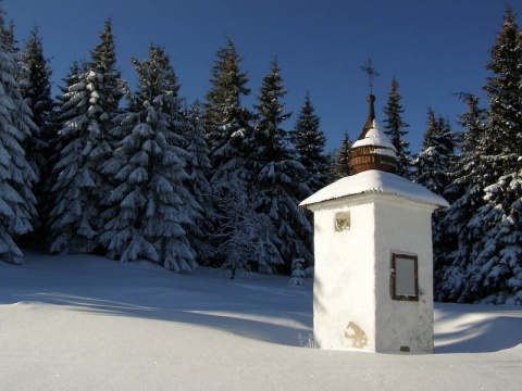 Kliknij na zdjęcie, żeby zobaczyć w pełnych wymiarach
