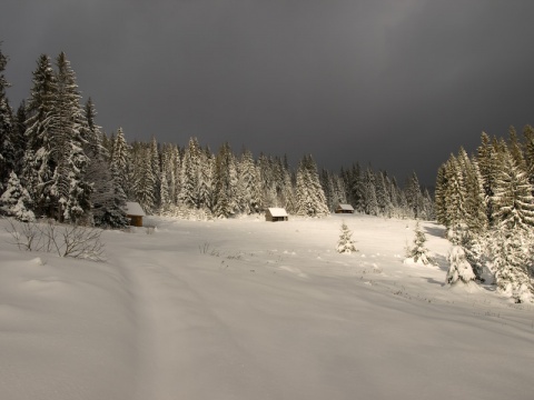 Kliknij na zdjęcie, żeby zobaczyć w pełnych wymiarach