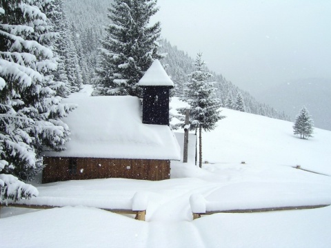 Kliknij na zdjęcie, żeby zobaczyć w pełnych wymiarach