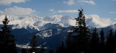 Kliknij na zdjęcie, żeby zobaczyć w pełnych wymiarach