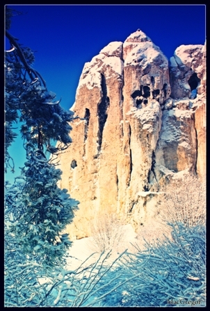 Kliknij na zdjęcie, żeby zobaczyć w pełnych wymiarach