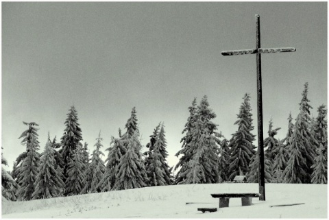 Kliknij na zdjęcie, żeby zobaczyć w pełnych wymiarach