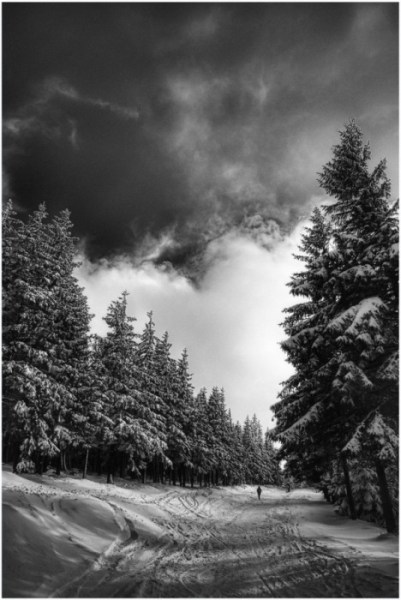 Kliknij na zdjęcie, żeby zobaczyć w pełnych wymiarach