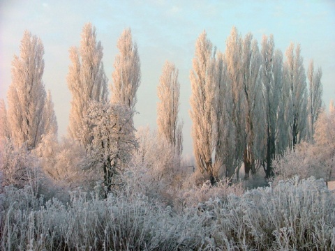 Kliknij na zdjęcie, żeby zobaczyć w pełnych wymiarach