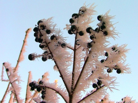 Kliknij na zdjęcie, żeby zobaczyć w pełnych wymiarach