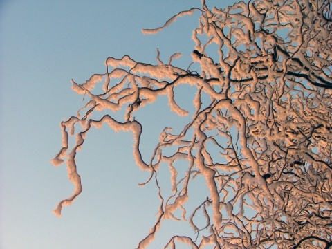 Kliknij na zdjęcie, żeby zobaczyć w pełnych wymiarach