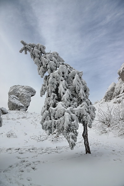 Kliknij na zdjęcie, żeby zobaczyć w pełnych wymiarach