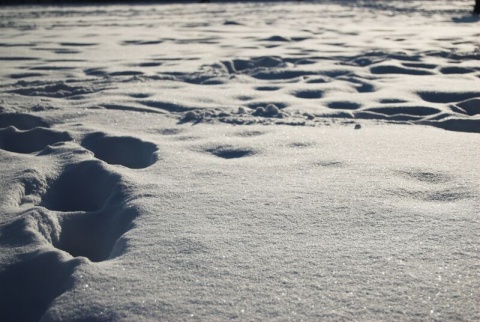 Kliknij na zdjęcie, żeby zobaczyć w pełnych wymiarach