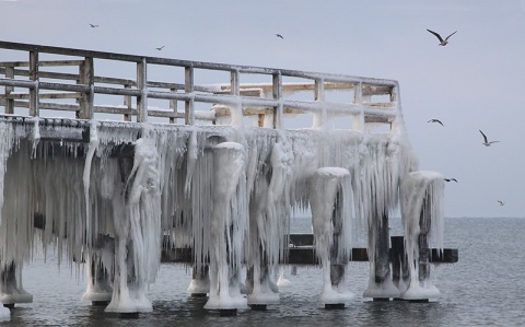 Kliknij na zdjęcie, żeby zobaczyć w pełnych wymiarach