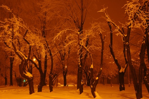 Kliknij na zdjęcie, żeby zobaczyć w pełnych wymiarach