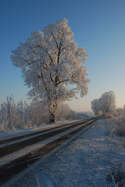 Kliknij na zdjęcie, żeby zobaczyć w pełnych wymiarach
