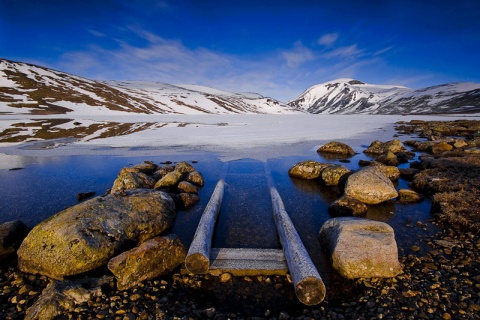 Kliknij na zdjęcie, żeby zobaczyć w pełnych wymiarach