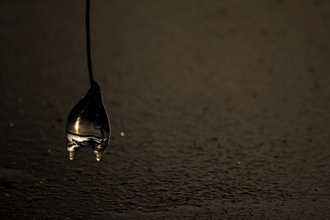 Kliknij na zdjęcie, żeby zobaczyć w pełnych wymiarach