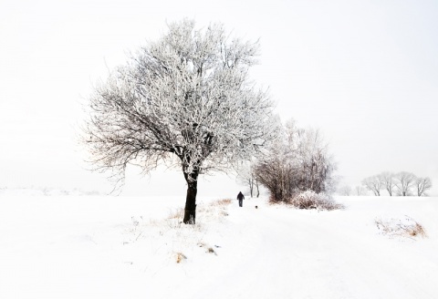 Kliknij na zdjęcie, żeby zobaczyć w pełnych wymiarach