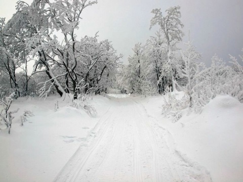 Kliknij na zdjęcie, żeby zobaczyć w pełnych wymiarach
