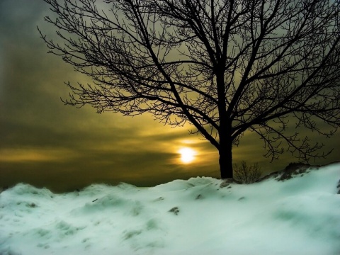 Kliknij na zdjęcie, żeby zobaczyć w pełnych wymiarach