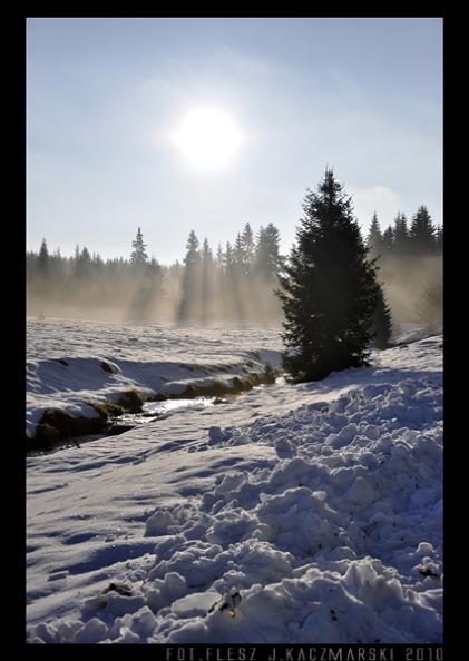 Kliknij na zdjęcie, żeby zobaczyć w pełnych wymiarach