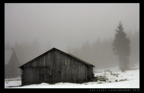 Kliknij na zdjęcie, żeby zobaczyć w pełnych wymiarach