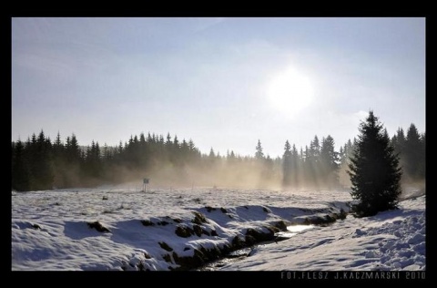 Kliknij na zdjęcie, żeby zobaczyć w pełnych wymiarach