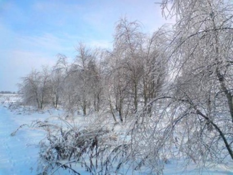 Kliknij na zdjęcie, żeby zobaczyć w pełnych wymiarach