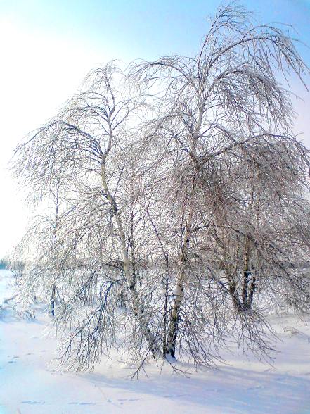 Kliknij na zdjęcie, żeby zobaczyć w pełnych wymiarach