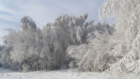 Kliknij na zdjęcie, żeby zobaczyć w pełnych wymiarach