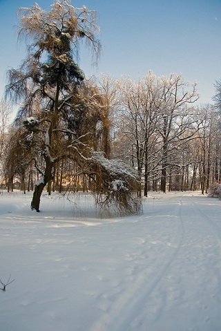 Kliknij na zdjęcie, żeby zobaczyć w pełnych wymiarach
