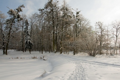 Kliknij na zdjęcie, żeby zobaczyć w pełnych wymiarach
