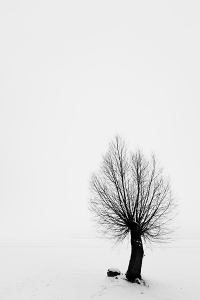 Kliknij na zdjęcie, żeby zobaczyć w pełnych wymiarach