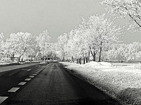 Kliknij na zdjęcie, żeby zobaczyć w pełnych wymiarach