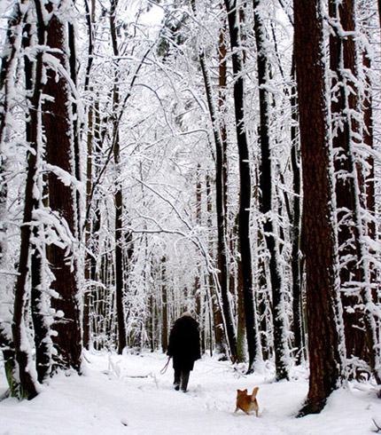 Kliknij na zdjęcie, żeby zobaczyć w pełnych wymiarach