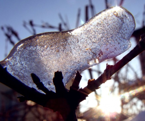 Kliknij na zdjęcie, żeby zobaczyć w pełnych wymiarach
